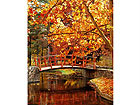 Pilt Park in November