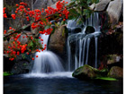 Pilt Beautiful Waterfalls