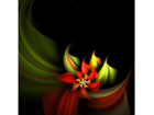 Pilt Poinsettia on Black