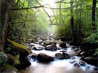 Pilt Mountain River