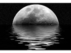 Pilt A Quarter Moon