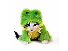 Pilt Cat in Frog Costume
