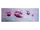 &Otilde;limaal l&otilde;uendil Dream 40x100 cm NC-33502