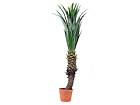 Kunstpuu Palm 150 cm MO-34845