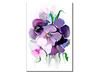 &Otilde;limaal l&otilde;uendil Lillac 70x50 cm NC-35224