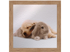 Pilt Children - The dog and rabbit 16x16 cm OG-37711
