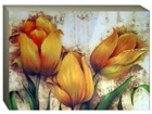 Pilt Canvas - Three yellow tulips 70x100 cm OG-37732