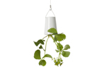 Boskke Sky Planter Ceramic - tagurpidi lillepott PG-38514