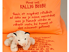Beebide voodipesukomplekt