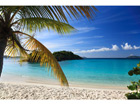 Pilt Caribbean Island