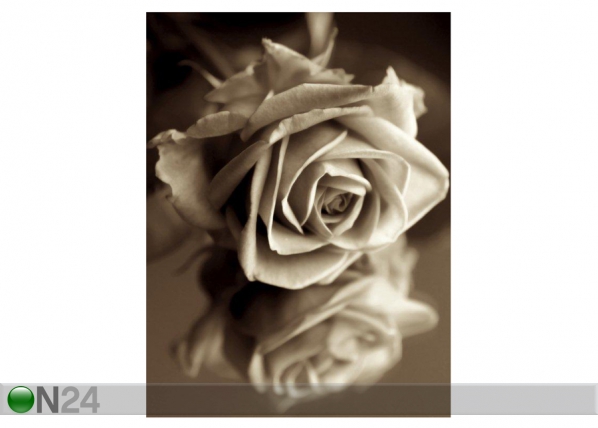 Pilt Sepia Rose NW-31430