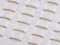 Paade White