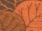 Salu Orange-brown