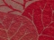 Salu Red-brown