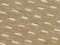 Tika Beige