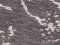 Viidu Grey