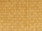 Bruno AZ605
