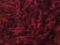 Telliskivipunane