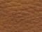 Helepruun 4210