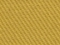 Mustard 28