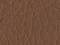 Pruun Madryt 124