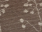 pruun