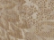 Melissa 1286 gold beige