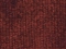Leo New 1861