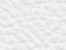 Vienna 1