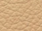 SAND 8