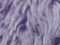 Lilla