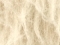 Valge