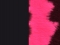 Must CO05/ Pink Cow