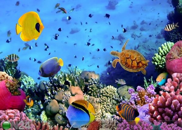Fliis-fototapeet Beautiful World 360x270 cm