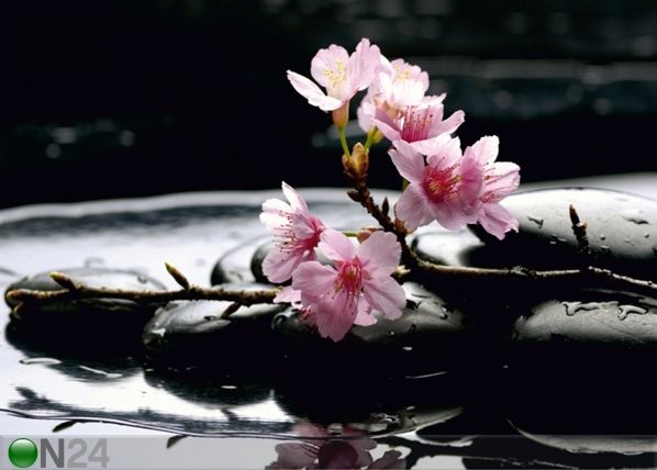 Fliis-fototapeet Pink flowers on the stone 360x270 cm