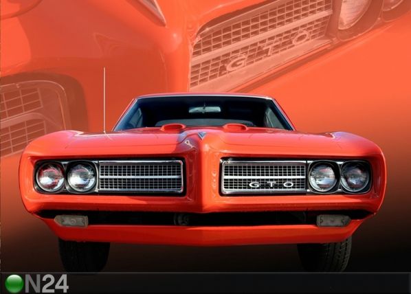Fliis-fototapeet Pontiac 360x270 cm