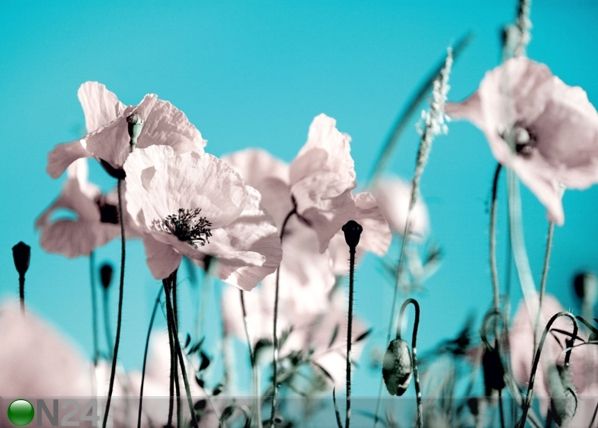 Fliis-fototapeet Poppy 360x270 cm