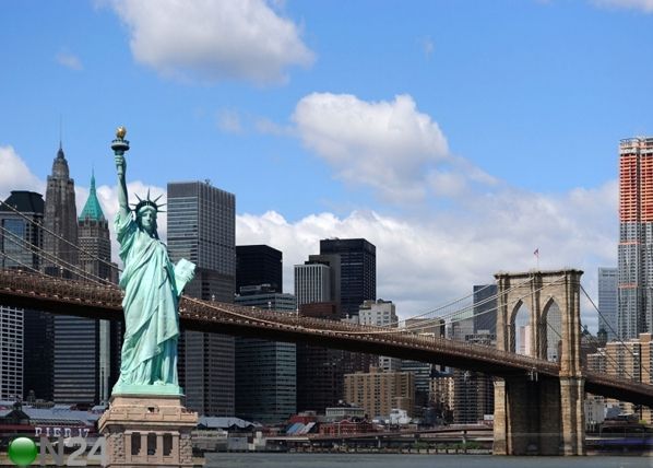 Fliis-fototapeet Statue of Liberty 360x270 cm