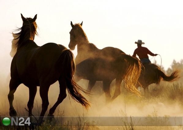 Fliis-fototapeet Wild West 360x270 cm