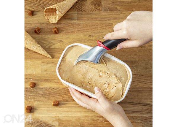 Jäätiselusikas Tefal Ingenio