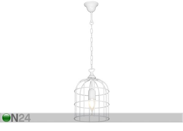 Laelamp Kolibri