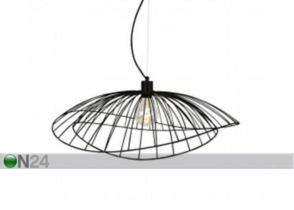 Laelamp Ray