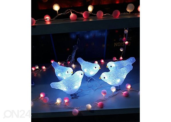 LED linnud
