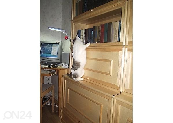 Moodulriiul