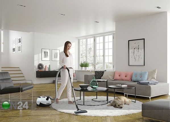 Tolmuimeja Electrolux SilentPerformer