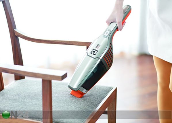 Tolmuimeja Ergorapido 2in1 Electrolux