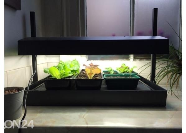 Valgustusega ettekasvatuskast Micro Grow Light Garden 11 W, must