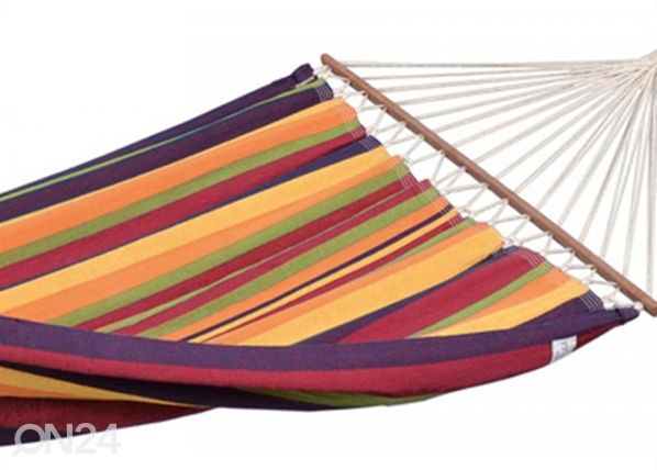 Võrkkiik Brasilia tropical