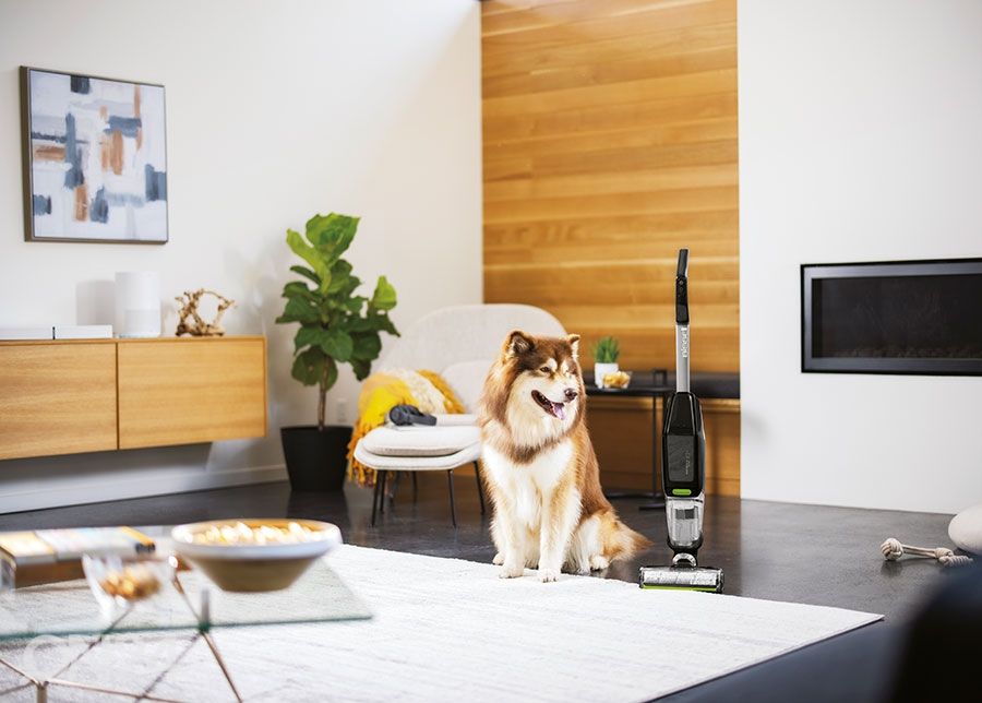 3in1 põrandapuhastaja Bissell CrossWave Cordless X7 Plus Pet Pro 3400N suurendatud