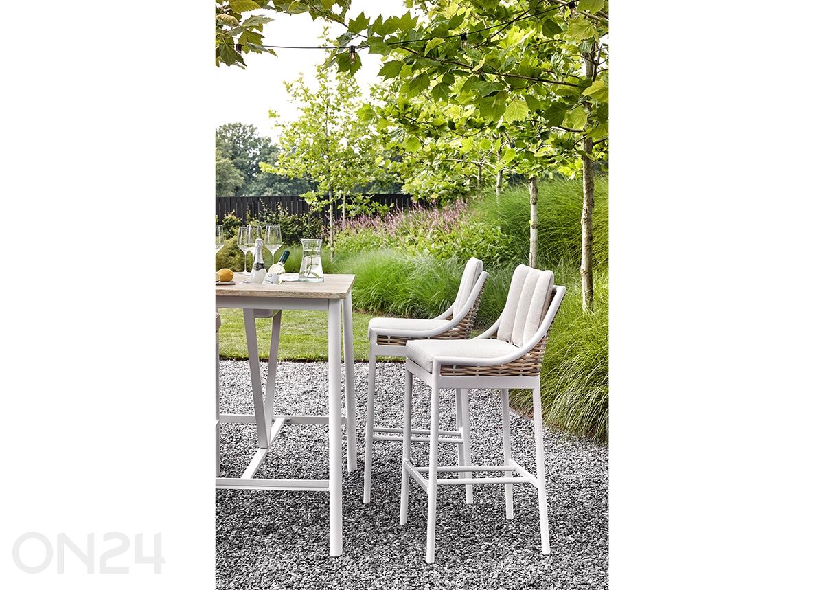 Aiatool Milou suurendatud